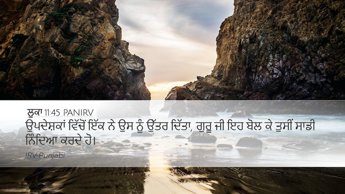 ਲੂਕਾ 11:45 PANIRV Bible Verse Image