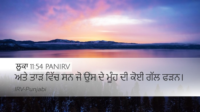 ਲੂਕਾ 11:54 PANIRV Bible Verse Image