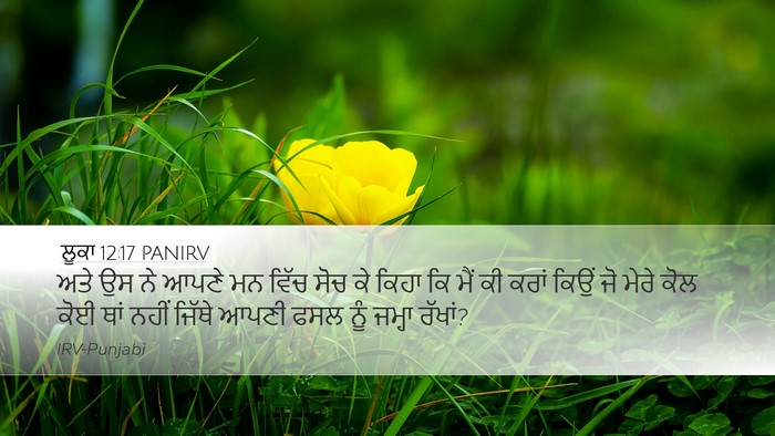 ਲੂਕਾ 12:17 PANIRV Bible Verse Image