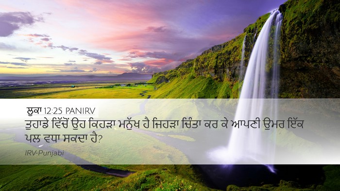 ਲੂਕਾ 12:25 PANIRV Bible Verse Image