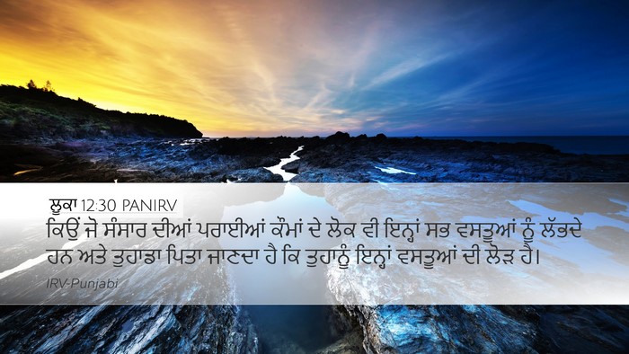 ਲੂਕਾ 12:30 PANIRV Bible Verse Image