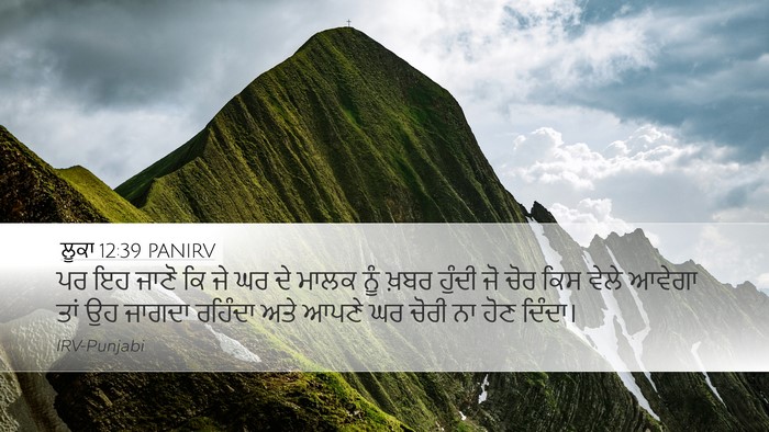 ਲੂਕਾ 12:39 PANIRV Bible Verse Image