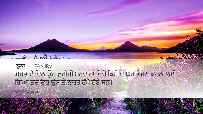 ਲੂਕਾ 14:1 PANIRV Bible Verse Image