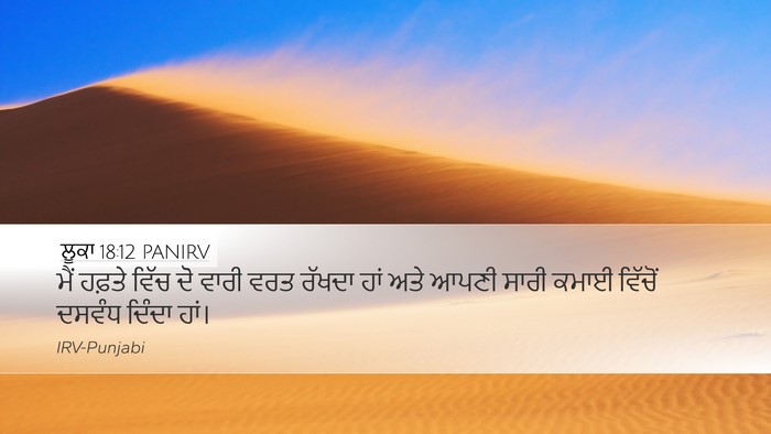 ਲੂਕਾ 18:12 PANIRV Bible Verse Image