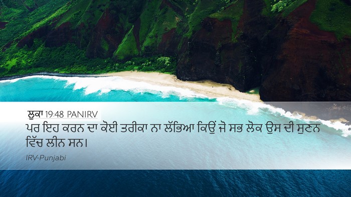 ਲੂਕਾ 19:48 PANIRV Bible Verse Image