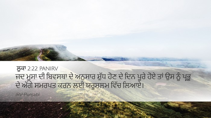 ਲੂਕਾ 2:22 PANIRV Bible Verse Image