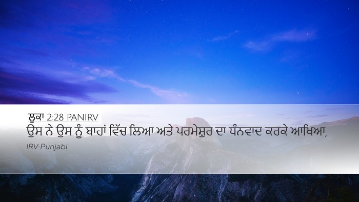 ਲੂਕਾ 2:28 PANIRV Bible Verse Image