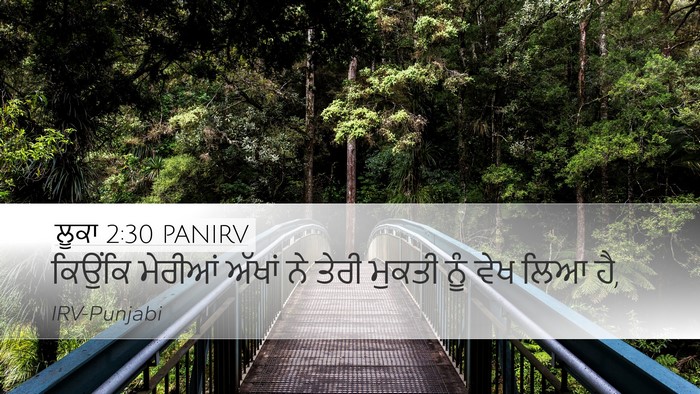 ਲੂਕਾ 2:30 PANIRV Bible Verse Image