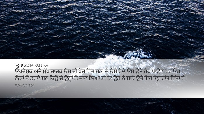 ਲੂਕਾ 20:19 PANIRV Bible Verse Image