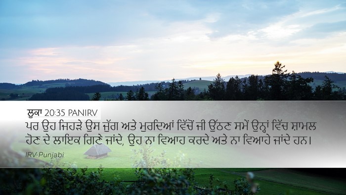 ਲੂਕਾ 20:35 PANIRV Bible Verse Image