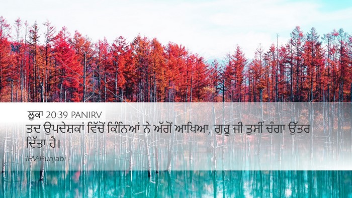 ਲੂਕਾ 20:39 PANIRV Bible Verse Image
