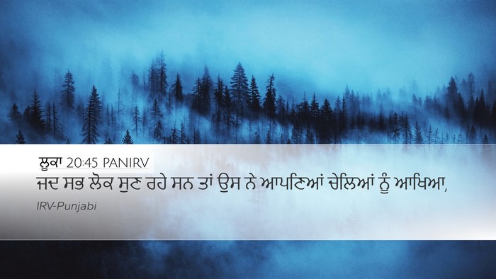 ਲੂਕਾ 20:45 PANIRV Bible Verse Image