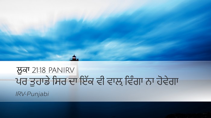 ਲੂਕਾ 21:18 PANIRV Bible Verse Image