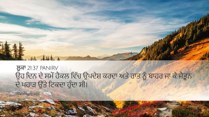ਲੂਕਾ 21:37 PANIRV Bible Verse Image