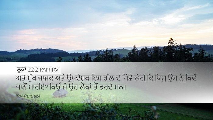 ਲੂਕਾ 22:2 PANIRV Desktop Wallpaper - ਅਤੇ ਮੁੱਖ ਜਾਜਕ ਅਤੇ - Desktop Bible Verse Wallpaper