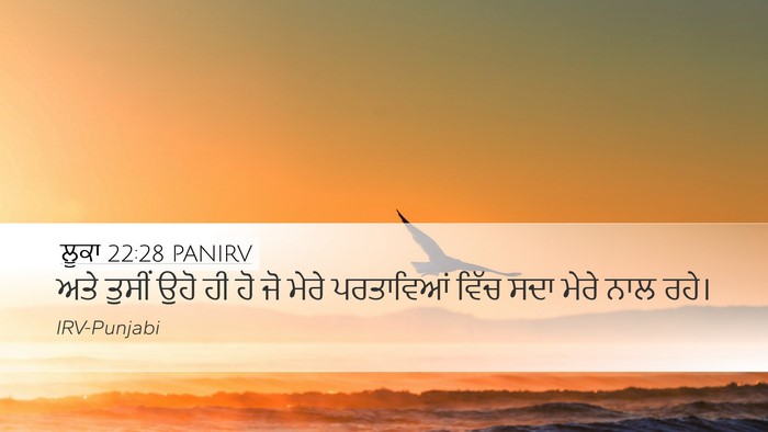 ਲੂਕਾ 22:28 PANIRV Bible Verse Image