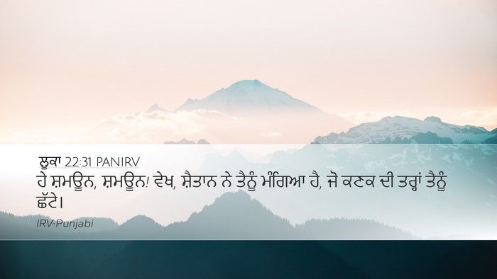 ਲੂਕਾ 22:31 PANIRV Bible Verse Image