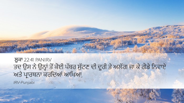 ਲੂਕਾ 22:41 PANIRV Bible Verse Image