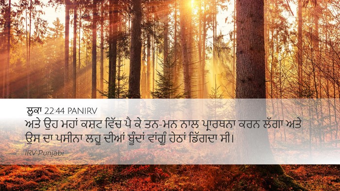 ਲੂਕਾ 22:44 PANIRV Bible Verse Image
