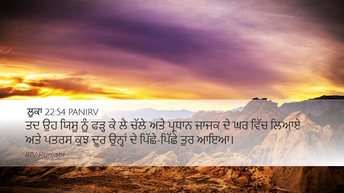 ਲੂਕਾ 22:54 PANIRV Bible Verse Image