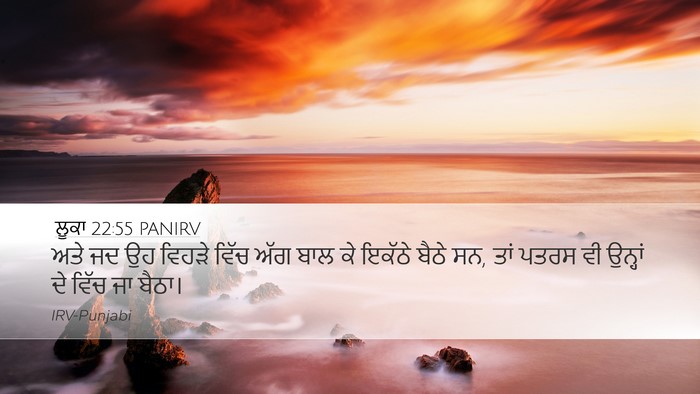 ਲੂਕਾ 22:55 PANIRV Bible Verse Image
