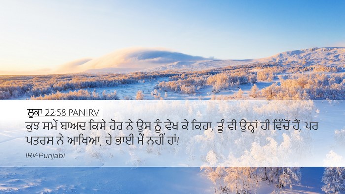 ਲੂਕਾ 22:58 PANIRV Bible Verse Image