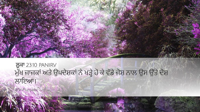 ਲੂਕਾ 23:10 PANIRV Bible Verse Image