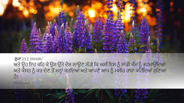 ਲੂਕਾ 23:2 PANIRV Bible Verse Image