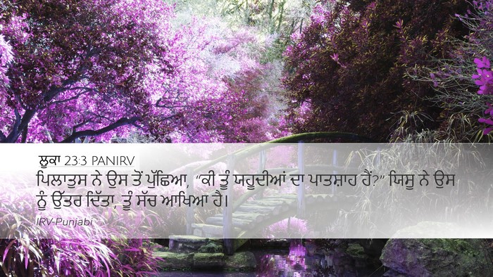 ਲੂਕਾ 23:3 PANIRV Bible Verse Image