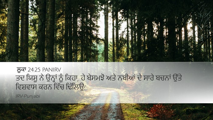 ਲੂਕਾ 24:25 PANIRV Bible Verse Image
