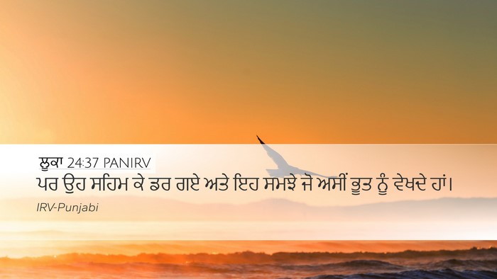 ਲੂਕਾ 24:37 PANIRV Bible Verse Image