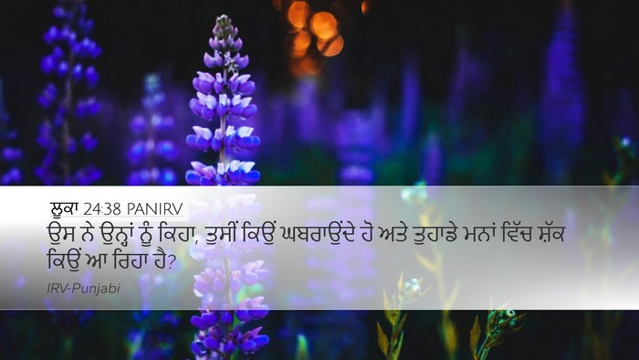 ਲੂਕਾ 24:38 PANIRV Bible Verse Image