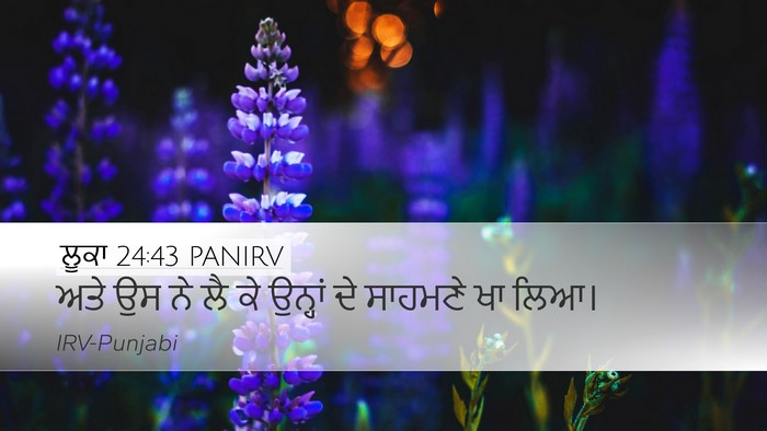 ਲੂਕਾ 24:43 PANIRV Desktop Wallpaper - ਅਤੇ ਉਸ ਨੇ ਲੈ ਕੇ - Desktop Bible Verse Wallpaper