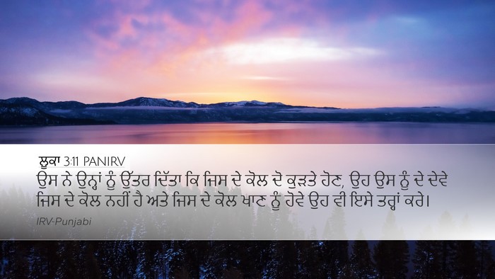 ਲੂਕਾ 3:11 PANIRV Bible Verse Image