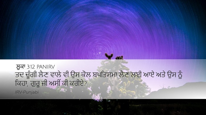 ਲੂਕਾ 3:12 PANIRV Bible Verse Image