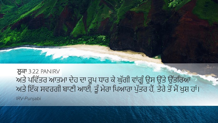 ਲੂਕਾ 3:22 PANIRV Bible Verse Image