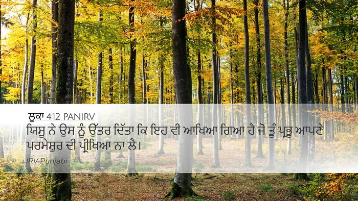 ਲੂਕਾ 4:12 PANIRV Desktop Wallpaper - ਯਿਸੂ ਨੇ ਉਸ ਨੂੰ ਉੱਤਰ - Desktop Bible Verse Wallpaper