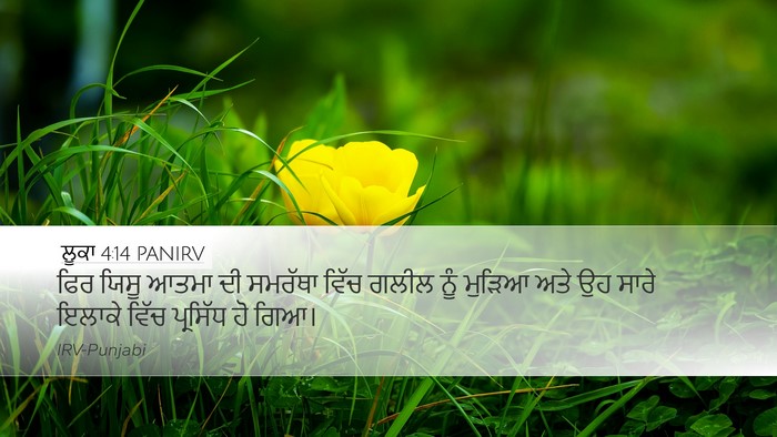 ਲੂਕਾ 4:14 PANIRV Bible Verse Image