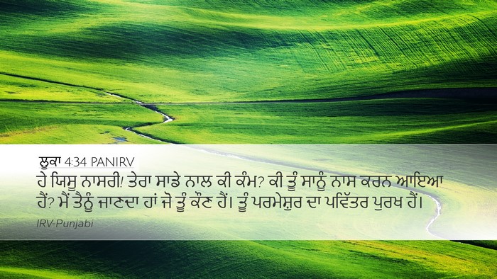 ਲੂਕਾ 4:34 PANIRV Bible Verse Image