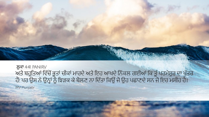 ਲੂਕਾ 4:41 PANIRV Bible Verse Image