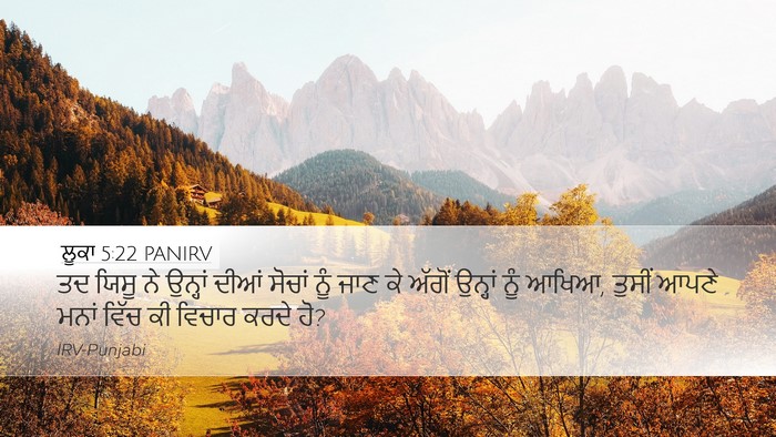 ਲੂਕਾ 5:22 PANIRV Bible Verse Image