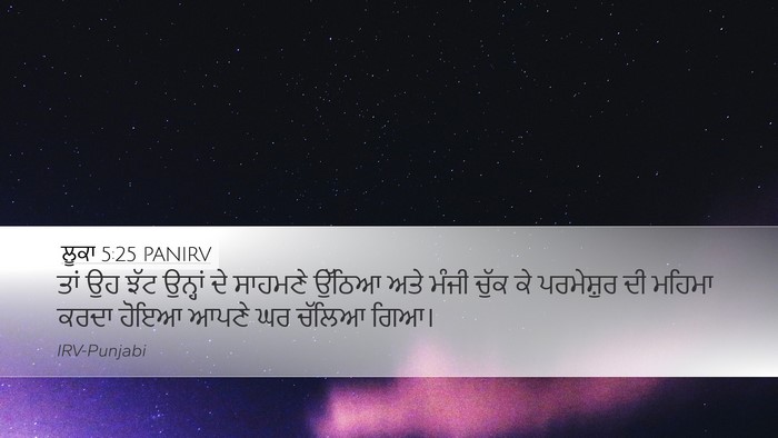 ਲੂਕਾ 5:25 PANIRV Bible Verse Image