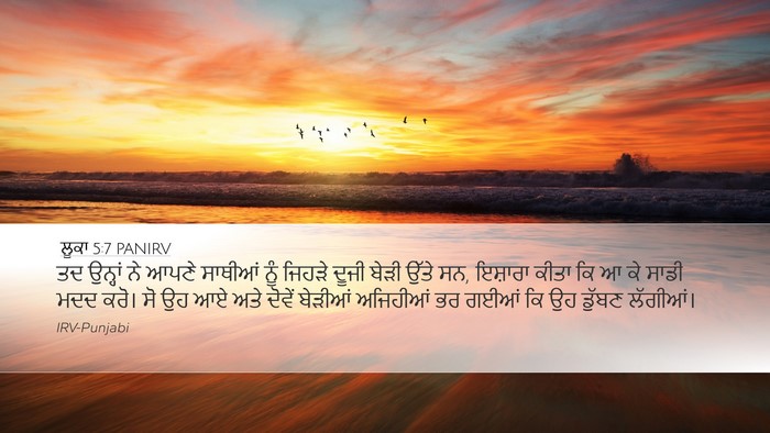 ਲੂਕਾ 5:7 PANIRV Desktop Wallpaper - ਤਦ ਉਨ੍ਹਾਂ ਨੇ ਆਪਣੇ - Desktop Bible Verse Wallpaper
