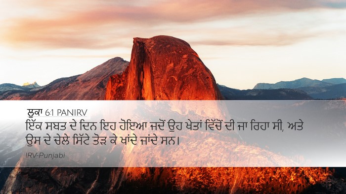 ਲੂਕਾ 6:1 PANIRV Bible Verse Image