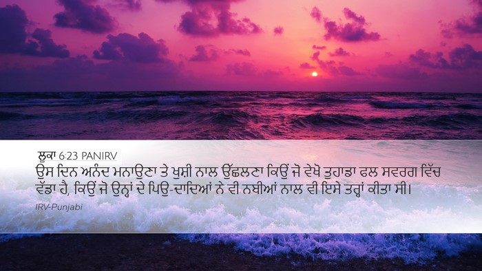 ਲੂਕਾ 6:23 PANIRV Bible Verse Image