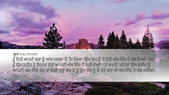 ਲੂਕਾ 6:42 PANIRV Bible Verse Image