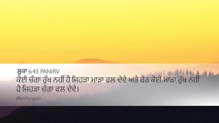 ਲੂਕਾ 6:43 PANIRV Bible Verse Image
