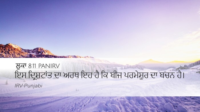 ਲੂਕਾ 8:11 PANIRV Bible Verse Image