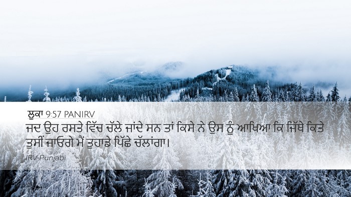 ਲੂਕਾ 9:57 PANIRV Bible Verse Image