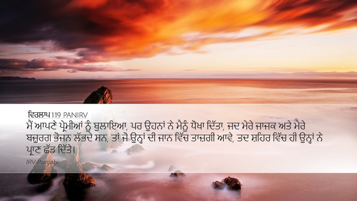 ਵਿਰਲਾਪ 1:19 PANIRV Bible Verse Image